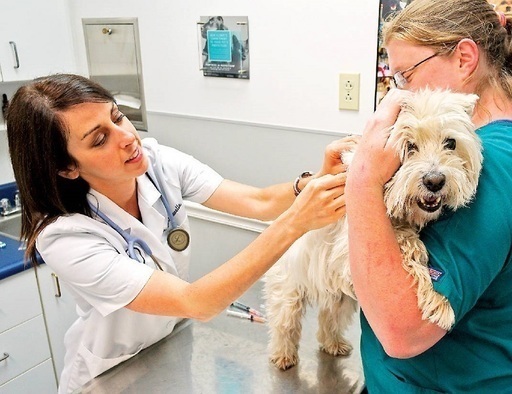 Thumb 3af2bd8e a804 421e b859 82826f0aed97